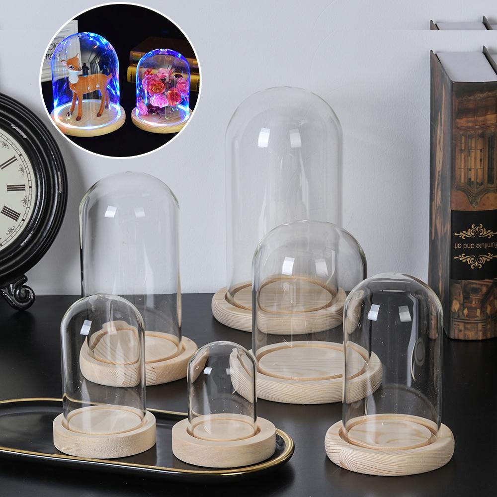 Home Decor Glass - Декоративные растения для дома: стеклянная ваза-террариум