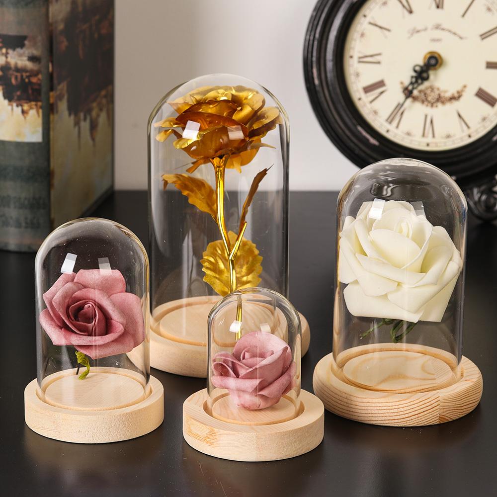 Декоративные растения для дома – обзор и цена Home Decor Glass