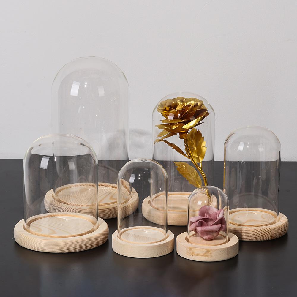 Декоративные растения для дома – обзор и цена Home Decor Glass
